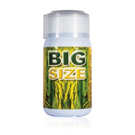 big-size