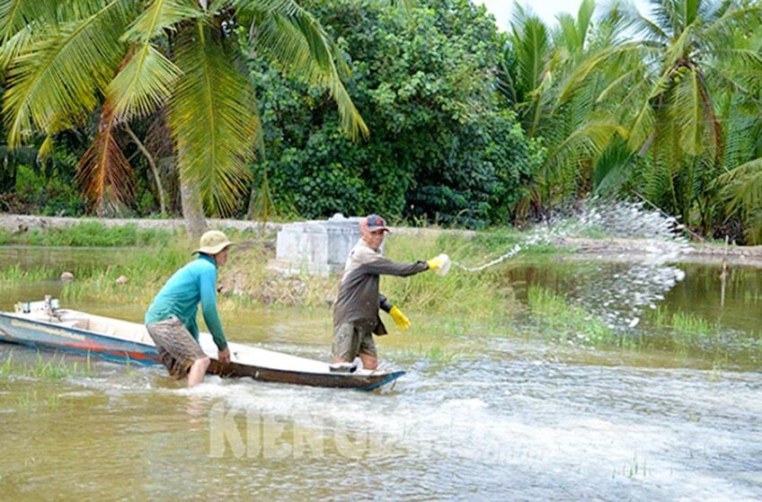 Kiên Giang: Người Nuôi Tôm thiếu nước mặn giữa mùa hạn