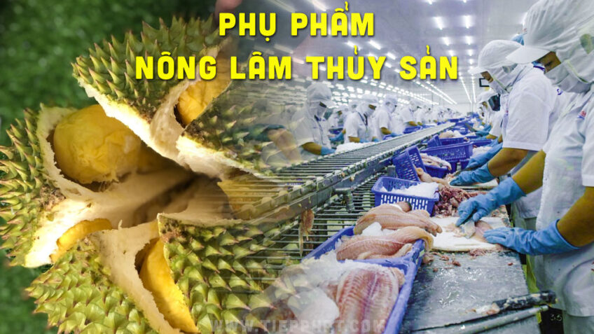 Tiềm năng của Phụ Phẩm nông lâm thủy sản Việt Nam