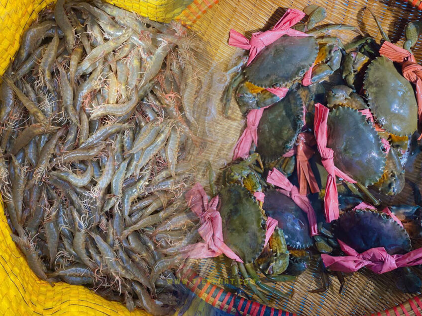 Trà Vinh: Giá nhiều loại thủy hải sản tăng cao